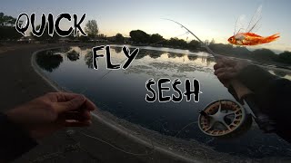 After Dinner Fly Sesh