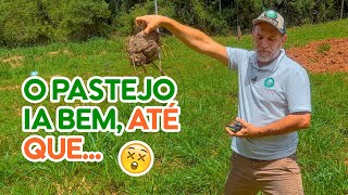 Prova de fogo 🔥 no CAPIAÇU: PASTEJO INTENSIVO - ele aguentou? 🤔