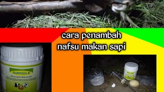 cara memulihkan kembali nafsu makan sapi menggunakan obat cacing