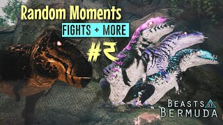 Random Moments + Fights And More #3 | Beasts Of Bermuda