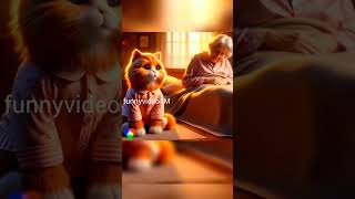 Cut cat story video #shorts #trending #trendingshorts #cat #cutecate #funnycate