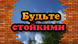 Будьте стойкими #ЛАРАзвезДА