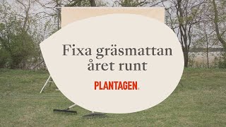 Fixa gräsmattan året runt