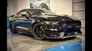 2019 FORD MUSTANG SHELBY GT350 WALKAROUND AND REVS!