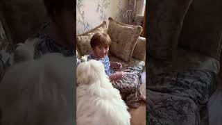 Elderly Woman Reacts to Receiving a Cute Dog as a Gift