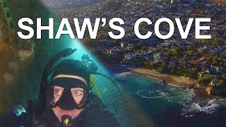 Shaw's Cove | Laguna Beach, California