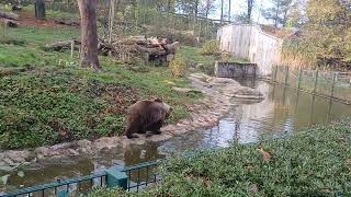 Heimat-Tierpark Olderdissen Bielefeld 05.11.2024