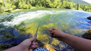 FLY FISHING for TROUT IN RIVER (Wet Wading)