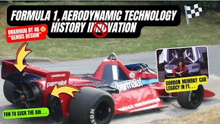 Brabham BT 46B Fan Car Story - When formula 1 innovation aerodynamic going too far truly genius WOW