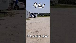 속초 양양 무료 차박 캠핑 이게 말이돼?