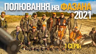 ПОЛЮВАННЯ НА ФАЗАНА З СОБАКАМИ 2021 | ТРОФЕЙНА ОХОТА | ЧАСТИНА 1.