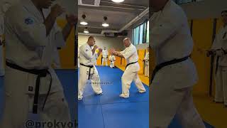 Jan Soukup #Kyokushin #Karate Training | KWU SENSHI camp 6.09.2024, Bulgaria