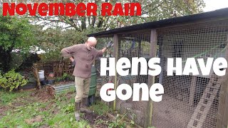 November Rain | Hens Have Gone | Caterpillars still attacking | Allotments For Fun and Food