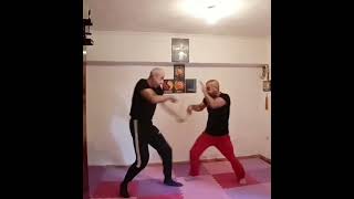 JEET KUNE DO TRAINING BRUCE LEE'S MARTIAL ARTS