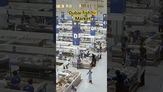 Dubai fish market waterfront market #shorts