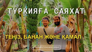 БАНАН жылыжайына ТЕГІН кіріп кеттік | Турцияға саяхат