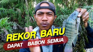 Beginilah Kalo Sudah Masuk Dalam Hutan!! Strike Babon Semua