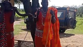 Maasai cultural village visit.