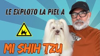 Le EXPLOTÓ la PIEL a mi Perro | ESTO LE SUCEDIÓ A BAMBAM