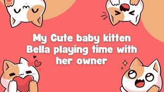 My Cute baby kitten Bella playing time with her owner