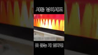 서른이 넘어도 고치지 못하는 습관 #Shorts