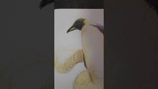 a surreal ballpen drawing of penguin #surreal #shorts #penguinart#ballpen#ballpenart