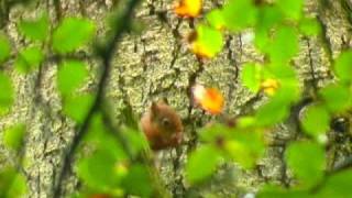 Haddo Country Park  Ellon Autumn and Winter