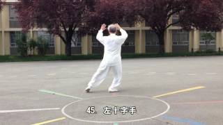 64式太極拳背向慢動作-4 (2014.05.17) 64 Movement Tai Chi Slow moving -4 (Back View)