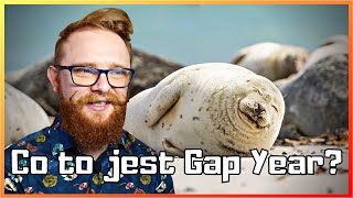 Co to jest Gap Year?