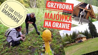 Grzybowa Majówka na Orawie w 4 minuty