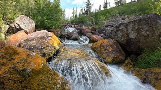 Водопад / Банзай /Борус