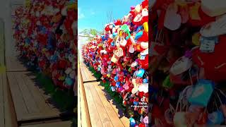 කොරියාවෙ ලස්සනම තැනක් 🇰🇷❤️🥰 #korean #namsanseoultower #namsan #한국어능력시험 #viralvideo #shorts #eps