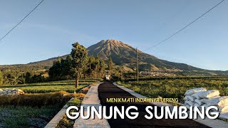 LERENG GUNUNG SUMBING DI PAGI HARI | SEGER DAN INDAH BANGET... 🍃