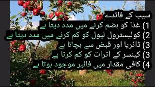 apple benefits in urdu...خالی پیٹ سیب کھانے کے فائدے