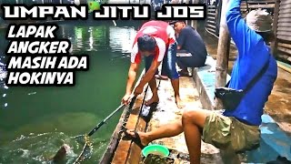 umpan jitu || lapak angker aja masih mau makanin