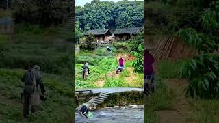 Desa yang indah, suasana sejuk alami#nature #village  #scenery