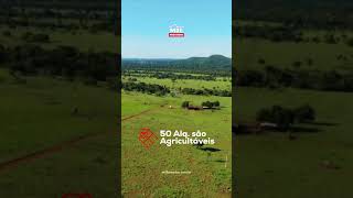 Fazenda a venda em Mozarlândia GO #fazendasavenda #agro