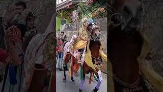 Festival Budaya Madura #shorts #karnaval