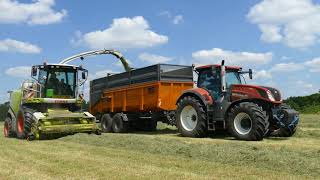 Gras hakselen/grass chopping/loonbedrijf de bollissen/claas jaguar 860/2x New Holland t7 terracota