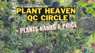 PLANT SHOPPING IN QC CIRCLE | With Plant Names & Price 🍀