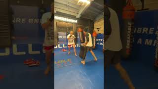 Jake Paul MMA Leg Kicks