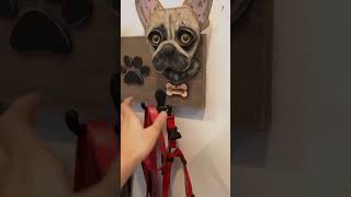 a day in my life as a bulldog #cute #frenchbulldog #fyp #shortsvideo