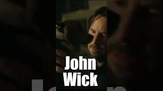 Assassins - The Real John Wick