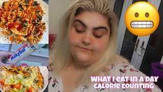 ANOTHER PICKY DAY! | WHAT I EAT IN A DAY | 04.11.21 | CALORIE COUNTING | LOUISAS WORLD