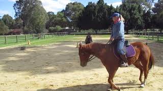 Jess riding Bailey at an even trot  August