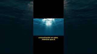 CONDUCTIVIDAD -  AGUA 2