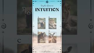 Which Image Have I Chosen? Intuition #3