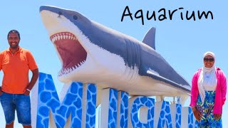 اكواريوم الغردقه ولا اروع . رحله كامله ومفيده جدا Aquarium tour in Hurghada