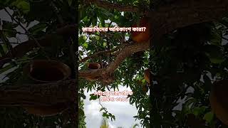 জান্নাতিদের অধিকাংশ যারা হবেন...