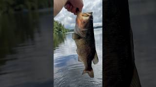 New England Large Mouth Bass Fishing w/ @ Rowan.Archibald!